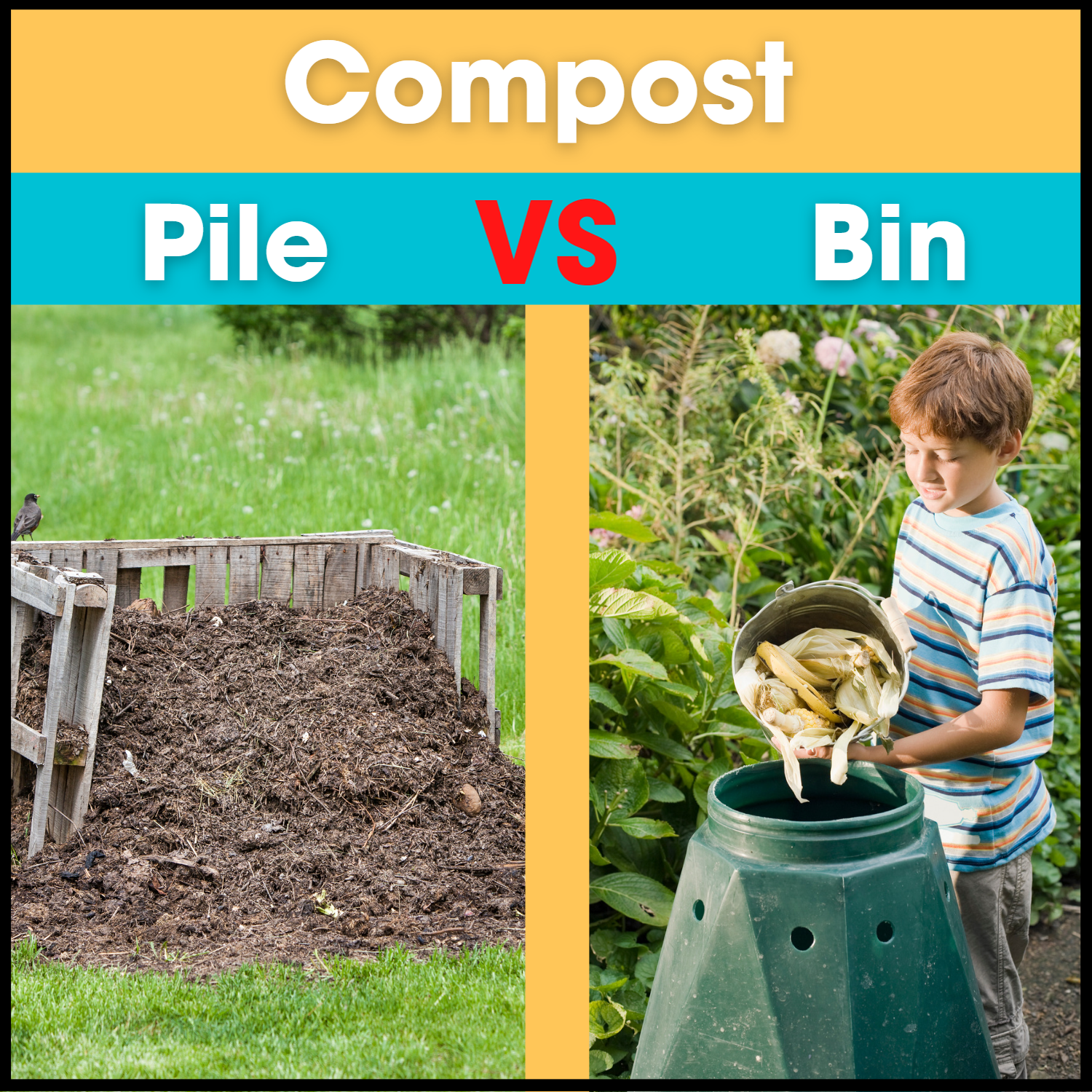 Compost Pile verses bin