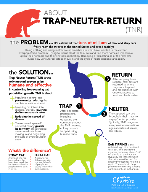 PetSmart TNR Infographic
